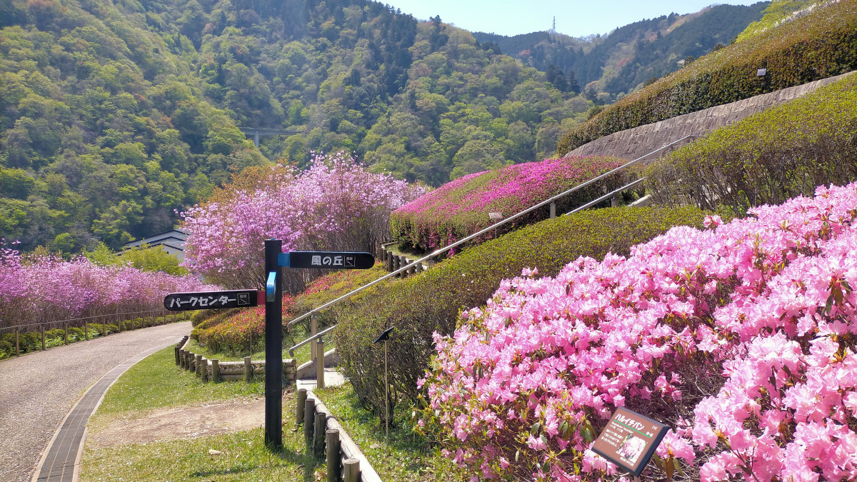 神奈川 県立 あいかわ 公園